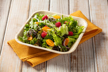 Load image into Gallery viewer, Tree Choice 9&quot; Square Deep Palm Leaf Bowls (100 count)